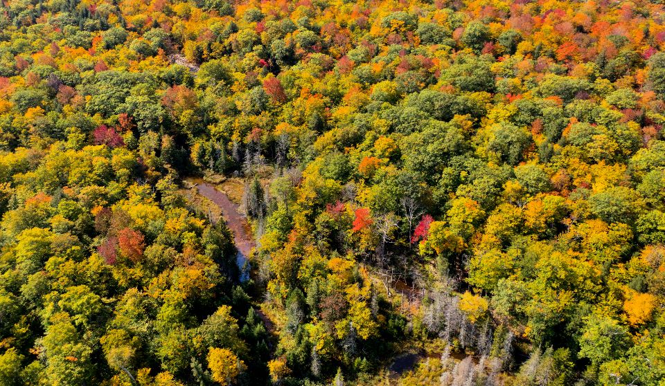 The property and its surroundings from the air